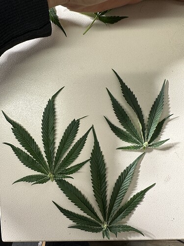 Growreport Bild 13