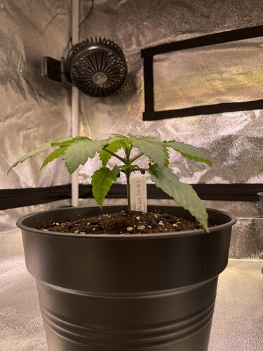 Growreport Bild 17