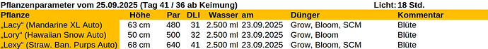 Growreport Bild 23