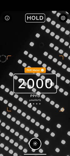 1000021999