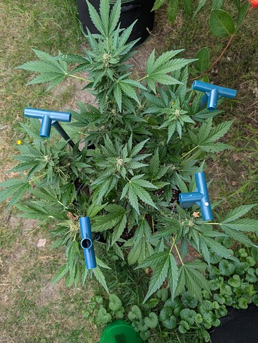 Growreport Bild 10