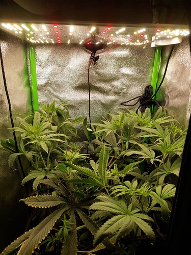 Growreport Bild 8