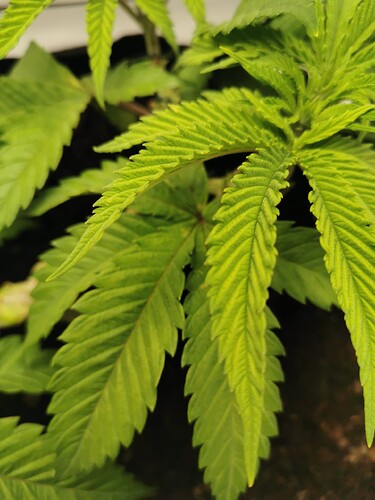 Growreport Bild 21