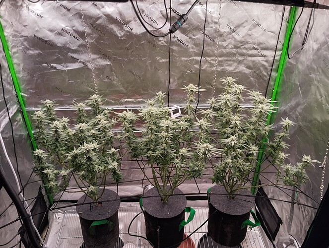 Growreport Bild 5