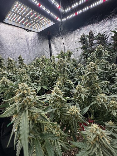 Growreport Bild 11