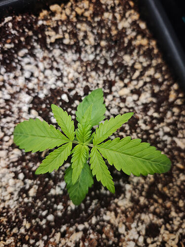 Growreport Bild 17