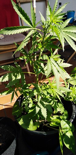 Growreport Bild 10