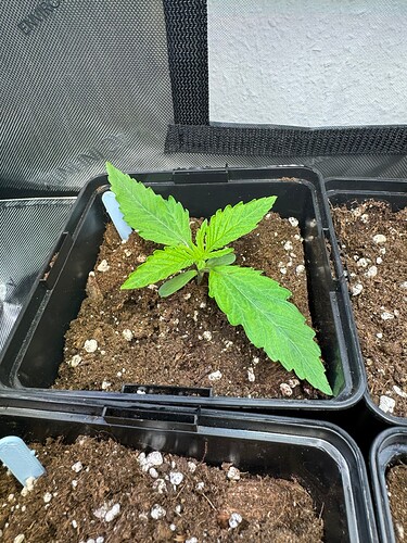 Growreport Bild 12
