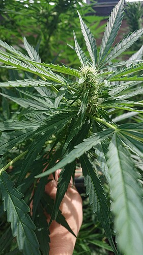 Growreport Bild 11