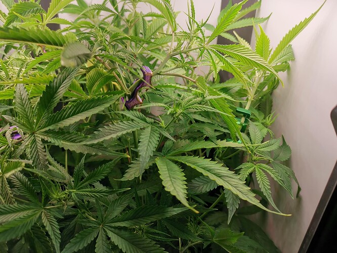 Growreport Bild 11