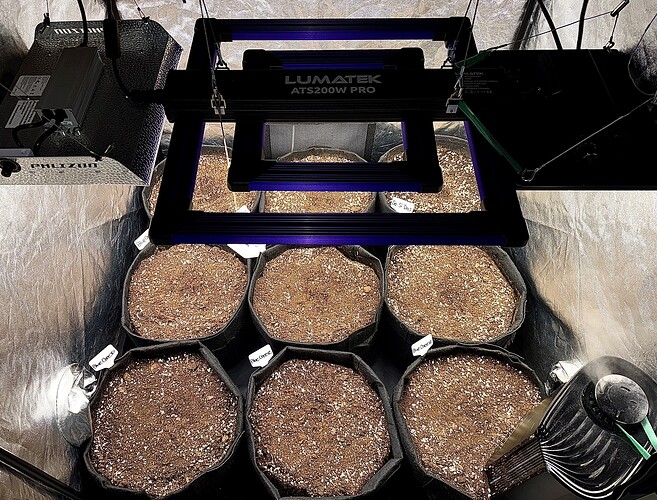 Growreport Bild 16