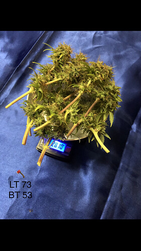 Growreport Bild 1