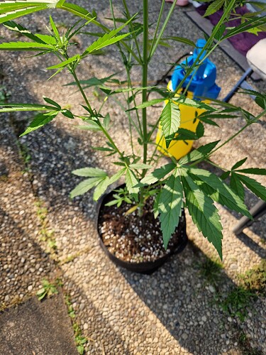Growreport Bild 25