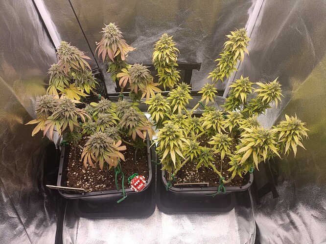 Growreport Bild 22