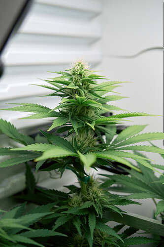 2026-03-24-03