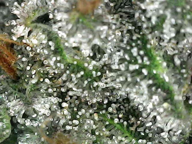 Photo_2025-04-21 12_38_27_807