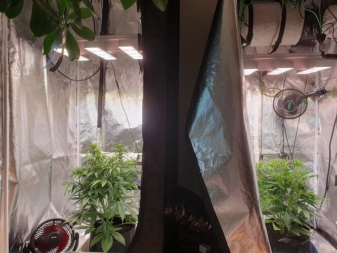 signal-2025-06-01-151358_002