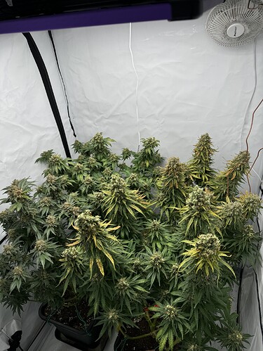 Growreport Bild 7