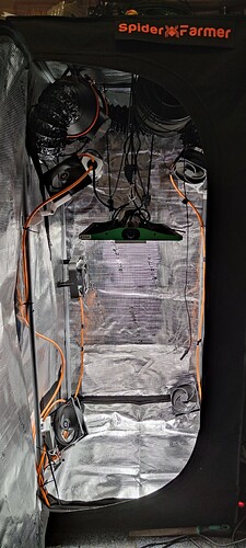 IMG_20250416_223350