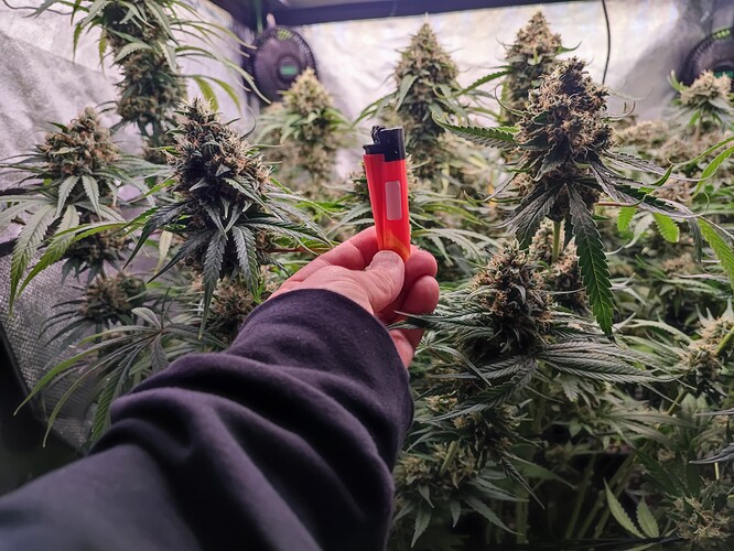 Growreport Bild 28
