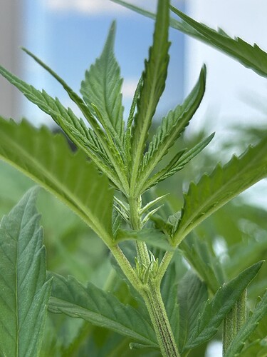 Growreport Bild 17