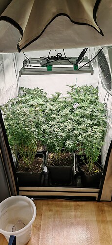Growreport Bild 1