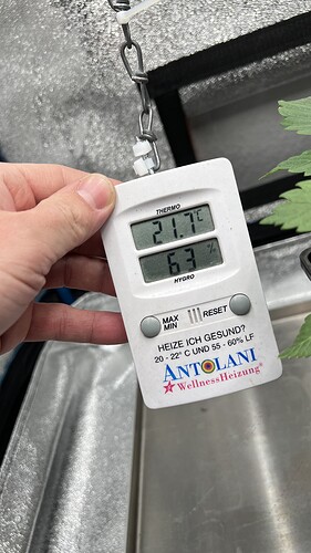 Growreport Bild 3