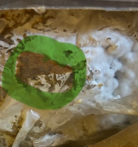 Growreport Bild 55
