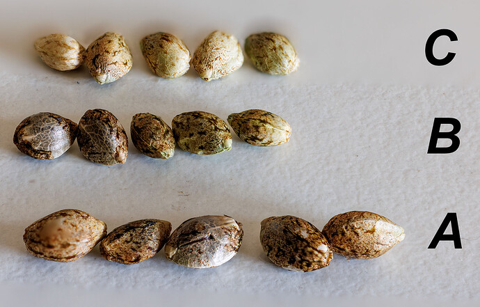 Growreport Bild 1