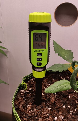 Growreport Bild 10