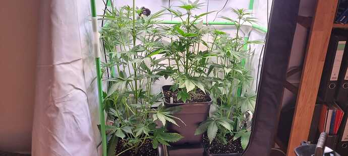 Growreport Bild 14