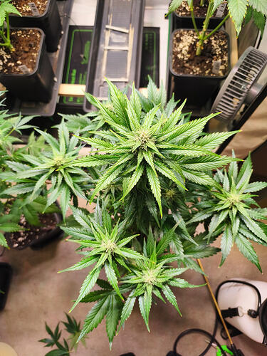 Growreport Bild 5