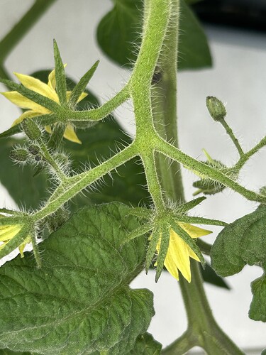 Growreport Bild 6