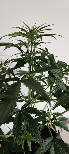 Growreport Bild 12