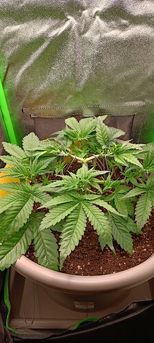 Growreport Bild 14