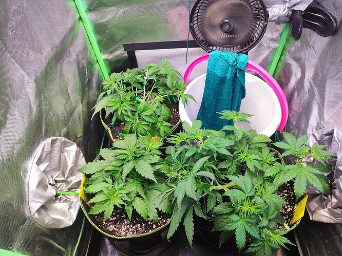 Growreport Bild 1