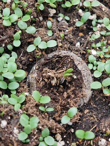 Growreport Bild 22