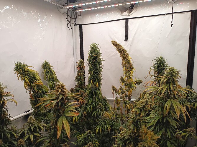 Growreport Bild 6