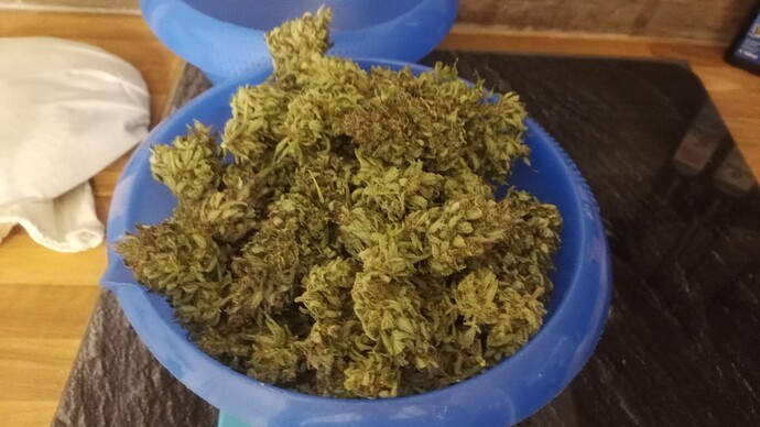 Growreport Bild 2