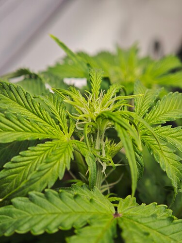 MVIMG_20251017_162158