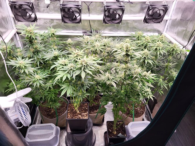 Growreport Bild 4