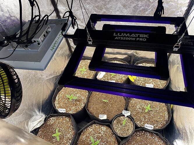 Growreport Bild 4