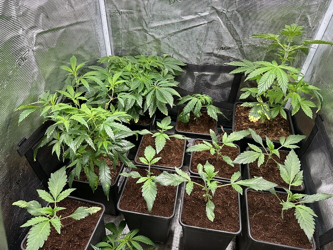 Growreport Bild 7