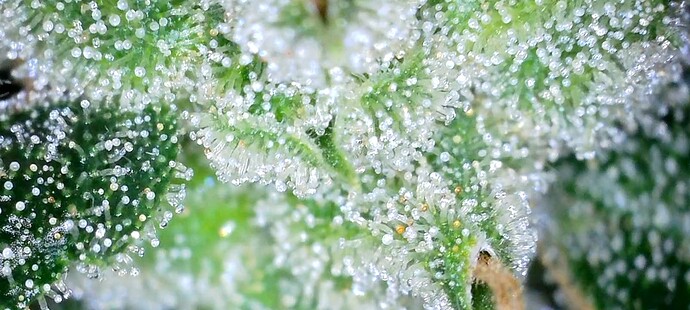 Screenshot_20240723_192952_Gallery