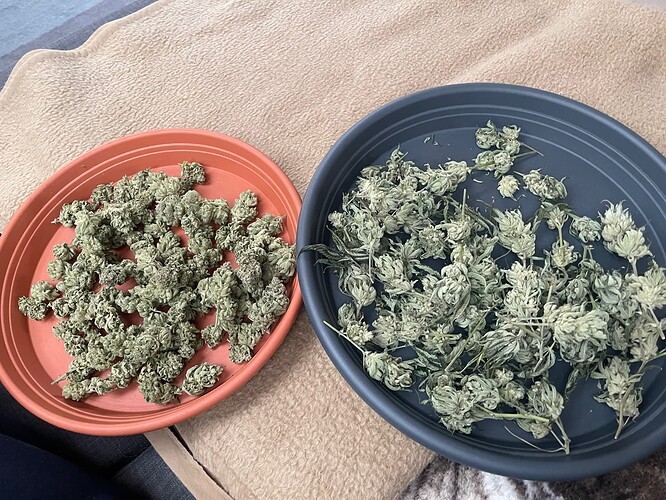 Growreport Bild 50
