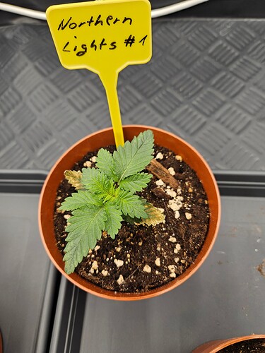 Growreport Bild 13