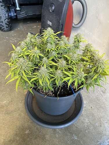 Growreport Bild 5