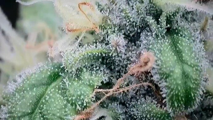 Growreport Bild 22