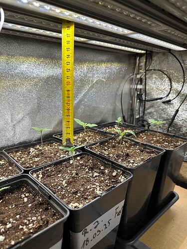 Growreport Bild 9