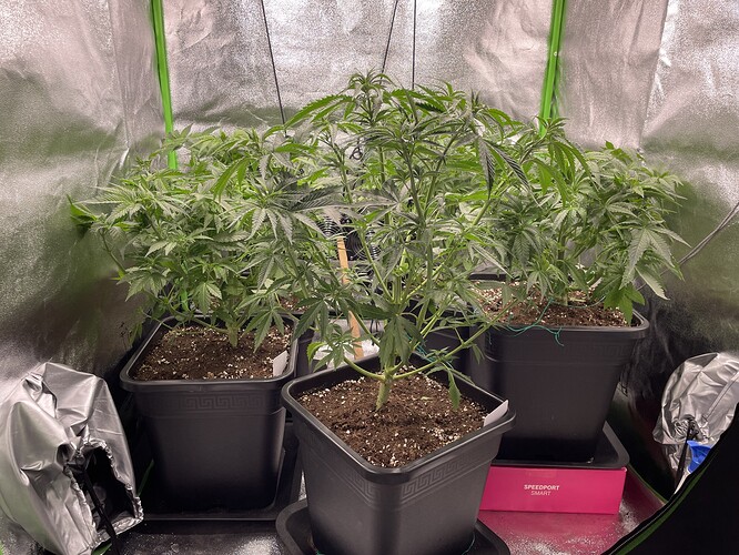 Growreport Bild 4